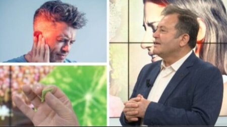 Ylli Merja, Veshi i mesem