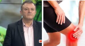Ylli Merja, Gjunjte