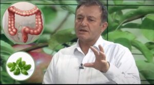 Ylli Merja, Zorra e Trashe