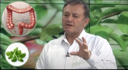 Ylli Merja, Zorra e Trashe