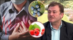 Ylli Merja, Zemra