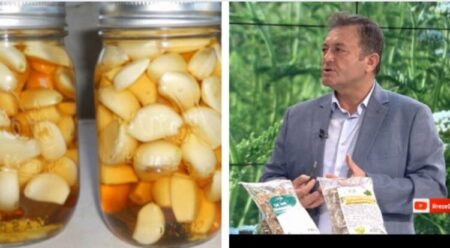 Ylli Merja, Uthulla e Hudhres
