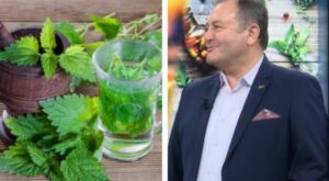 Ylli Merja, Hithra