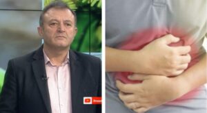 Ylli Merja, Guret ne Temth