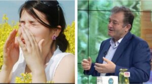 Ylli Merja, Alergjite e Stines