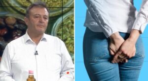 Ylli Merja, Majaselli