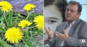 Ylli Merja, Rradhiqja