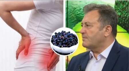 Ylli Merja, Infeksioni i Veshkave