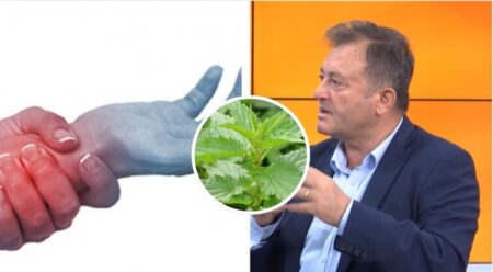 Ylli Merja, Dhimbja e Kyceve