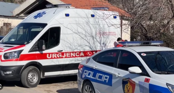 Ngjarje e pazakontë në vend! 12 vjecari merr makinëne të atit dhe pëson aksident, 2 persona…