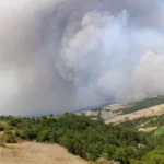 Përkeqësohet situata e zjarreve, flet banorja e tmerruar ‘Nuk na ka mbetur më asgjë, na u dogjën: shtëpi, bagëti e pasuri…’