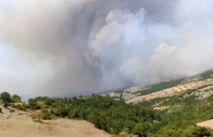 Përkeqësohet situata e zjarreve, flet banorja e tmerruar ‘Nuk na ka mbetur më asgjë, na u dogjën: shtëpi, bagëti e pasuri…’
