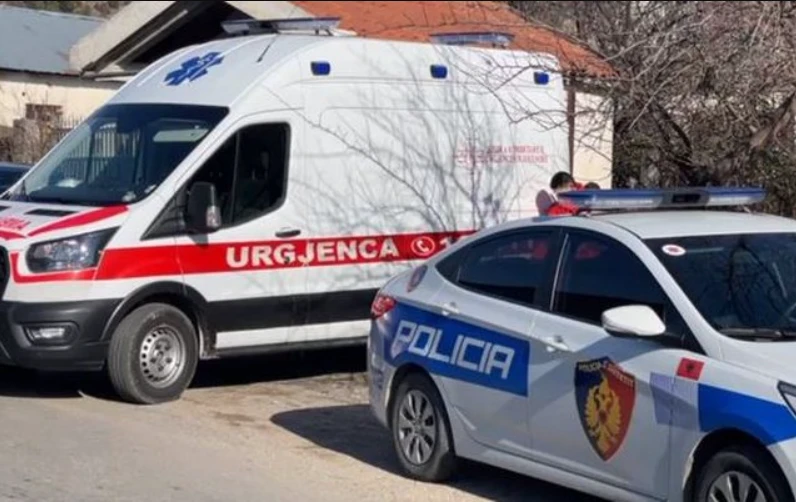 E rëndë në Tiranë! Sherr me th*ka mes adoleshenteve, 5 të mitur përfundojnë në…