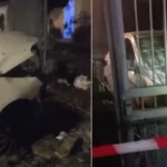 ‘Vajza ime mund të kishte humbur jetën…’ Reagon ashpër gazetari pas vendosjes së tritoIit në makinën e tij