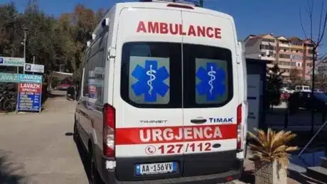 Ngjarje e rëndë! E zuri poshtë pema që ishte duke prerë 39-vjeçari, ndërron jetë burri!