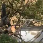 Aksident fatal! 43-vjeçari dhe dy fëmijët humbin jetën  brenda makinës, dyert e makines nuk u hapen.