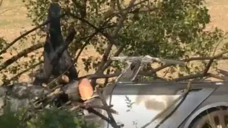 Aksident fatal! 43-vjeçari dhe dy fëmijët humbin jetën  brenda makinës, dyert e makines nuk u hapen.