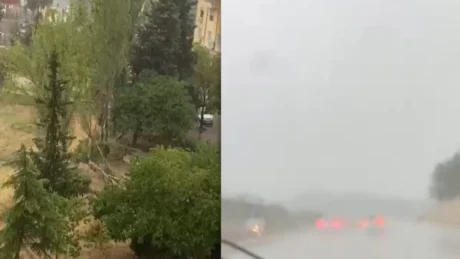 Stuhia bënë NAMIN në vend: Erë e fortë, pemë të thyera, objekte të rrëzuara! Pamje të papara më parë