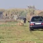 Ngjarje fatale! Po punonte tokën, humb jetën burri në vend