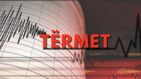 Lëkundje të forta, dalin pamje nga tërmeti në Korçë (Video)