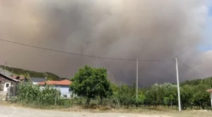 Humb jetën  nje person që ndezi zjarrin në kopshtin e banesës në Gramsh, situata e rënduar në disa fshatra