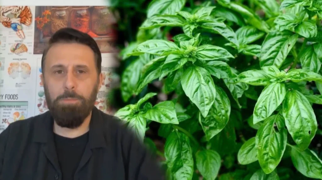 Nuk do ta besosh çfarë i bën trupit BORZILOKU, nutricionisti Altin Joka: Ja si ta përdorësh për shërim