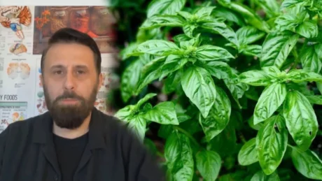 Nuk do ta besosh çfarë i bën trupit BORZILOKU, nutricionisti Altin Joka: Ja si ta përdorësh për shërim