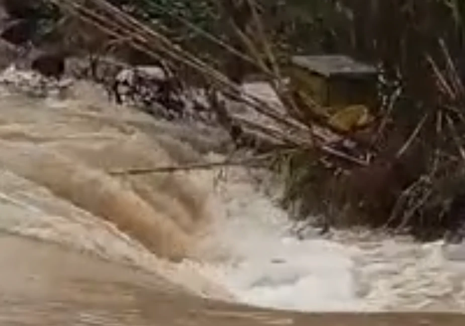 Situat e rëndë në vend! Fermerët në lot ‘Më kanë ngordhur 120 dhi, 60 keca dhe..’ Rëndohet bilanci në Jug!
