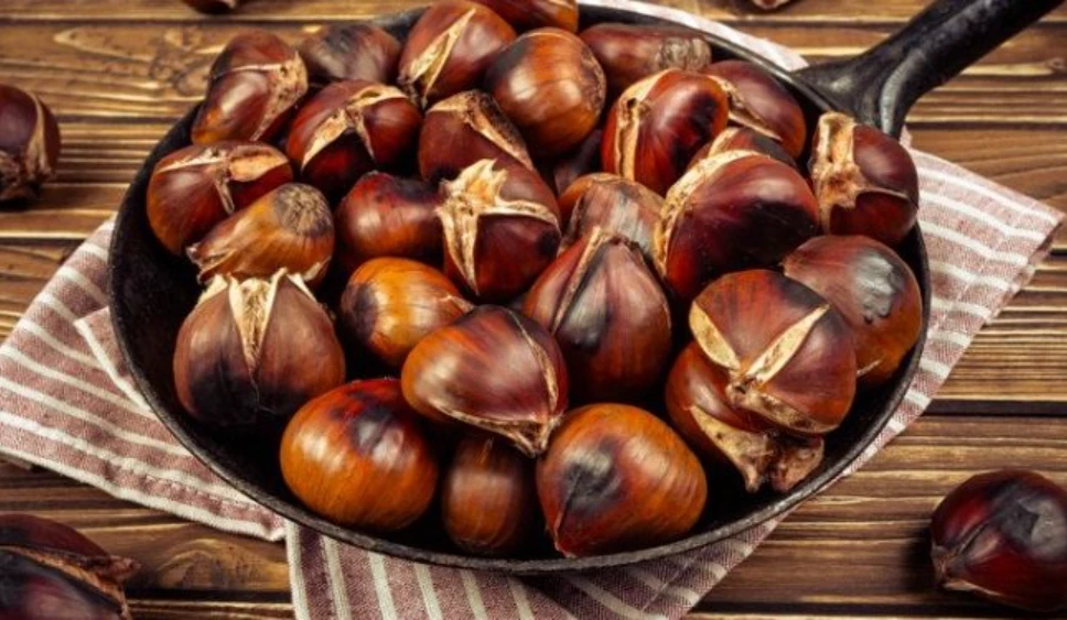 Nga përmirësimi i funksioneve të trurit tek shëndeti i zemrës, ja përfitimet shëndetësore të gështenjës