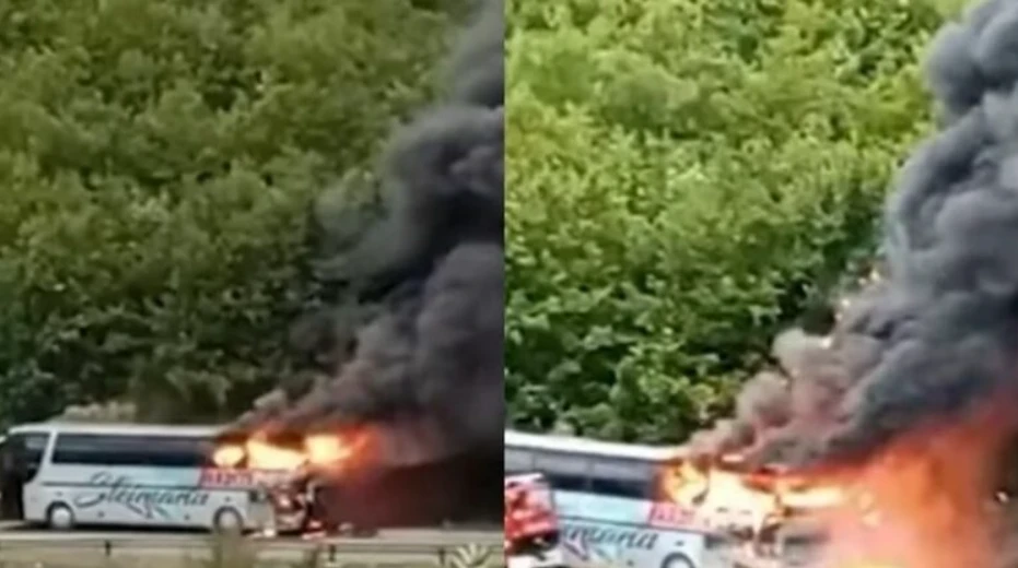 TRONDITESE! Autobusi plot me pasagjer shpërthen në flakë gjatë lëvizjes (Video)