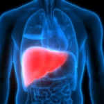 Beni bashke keto 2 perberes: Kura natyrale për pastrimin e mëlçisë dhe organizmit në 5 ditë