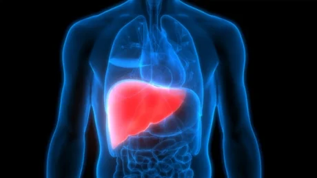 Beni bashke keto 2 perberes: Kura natyrale për pastrimin e mëlçisë dhe organizmit në 5 ditë