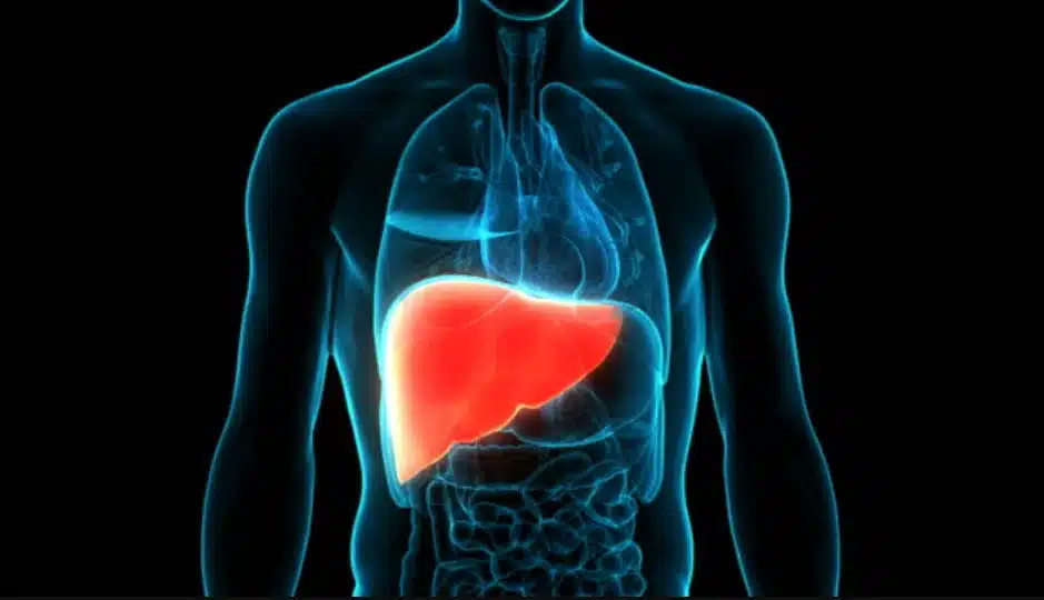 12 ushqime që pastrojnë mëlçinë nga toksinat