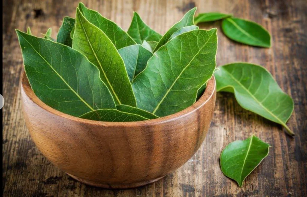 U duhen vetem 3 gjethe dafine të freskëta: Kura ideale per trajtimin e dhimbejve qe lidhen me…