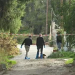 Ngjarje tronditëse: Nusje m*sakron për vd*kje vjehrrën e saj, arsyeja do ju SHOKOI!