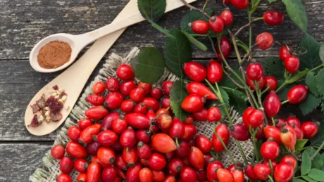 Kura me 8 kokrra trëndafil të egër, një shërim për organizmin tuaj