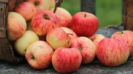 Ndoshta deri me sot e keni ditur gabim, me apo pa lekure duhet te konsumohet molla?