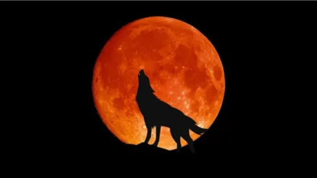 Hëna e Plotë e Ujkut më 3 Janar, këto shenja do të përballen me një…